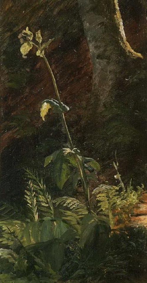 Thistle by Carl Spitzweg