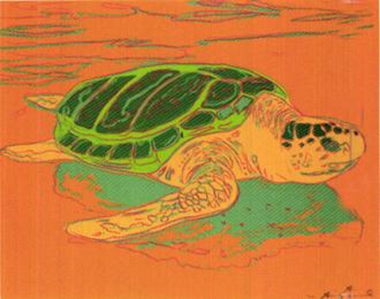 Turtle by Andy Warhol