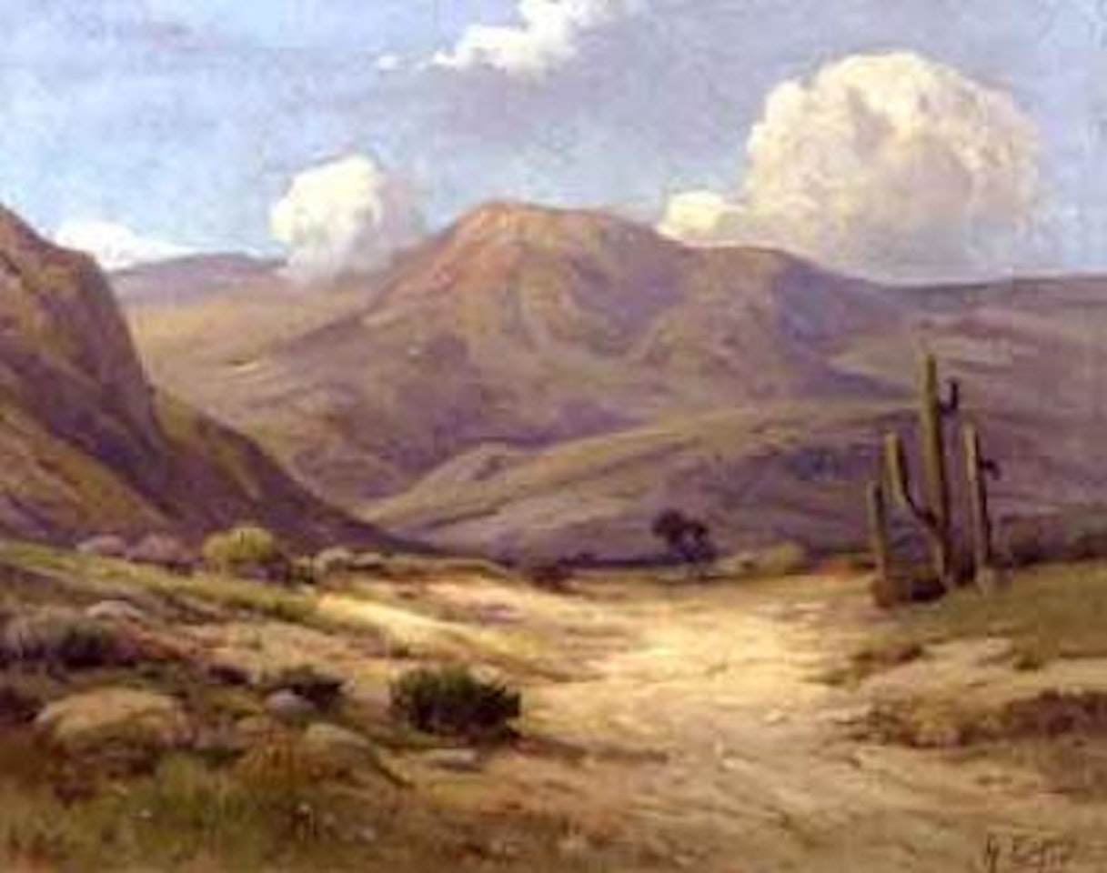 California desert landscape by Angel Espoy