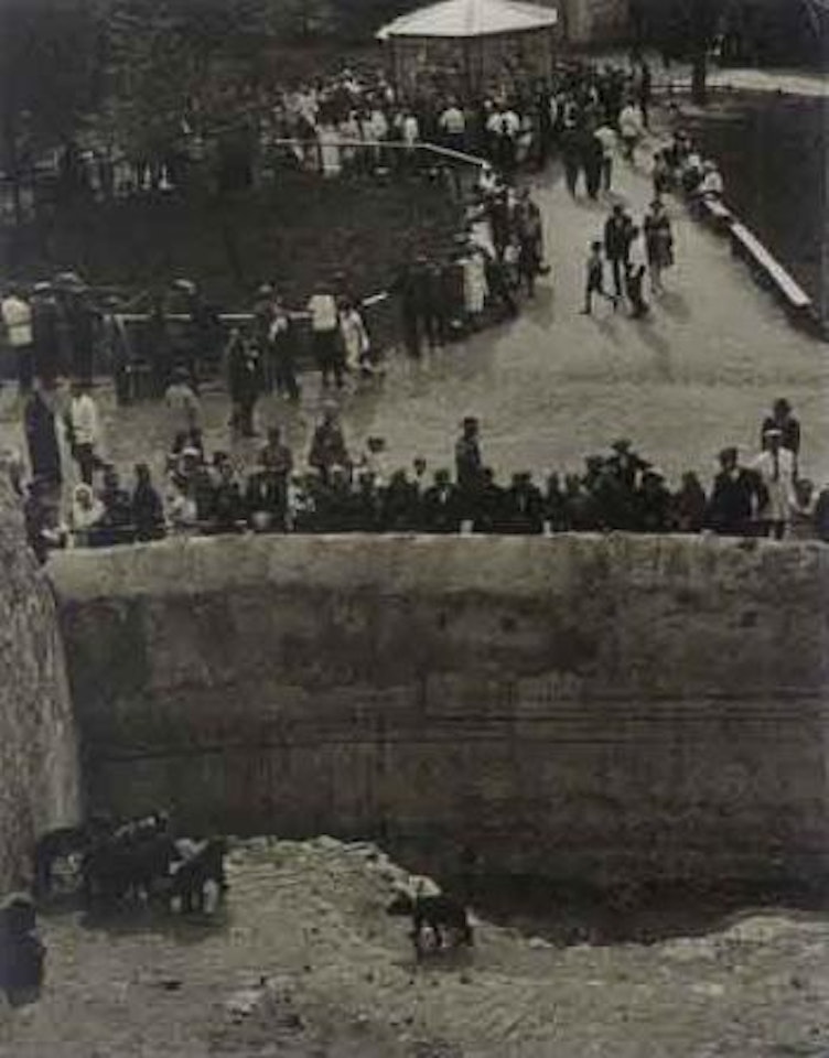 Bears by Alexander Rodchenko