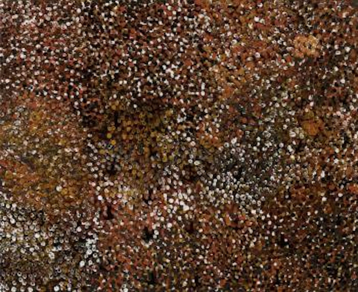 Emu country by Emily Kame Kngwarreye