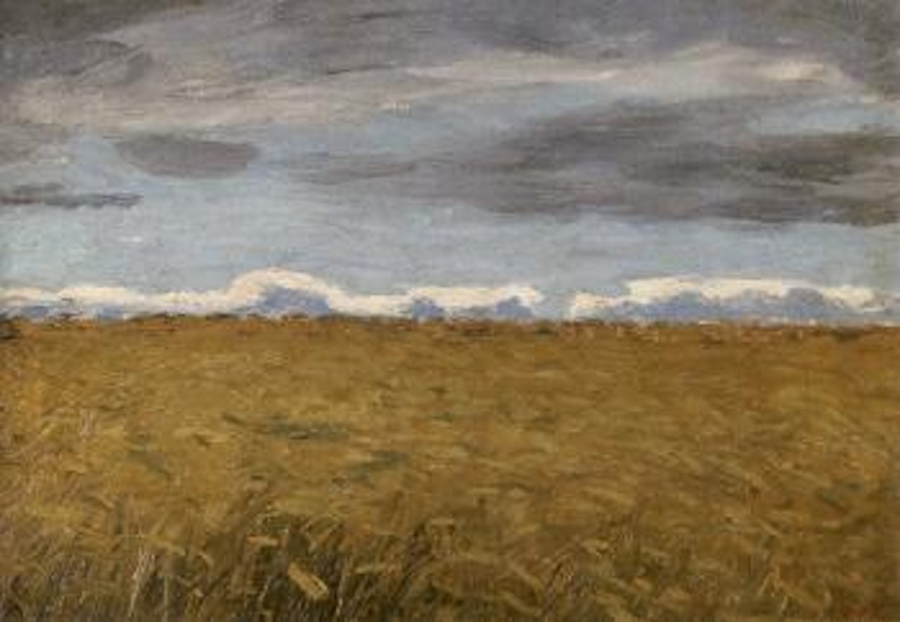 Cornfield by Hans am Ende