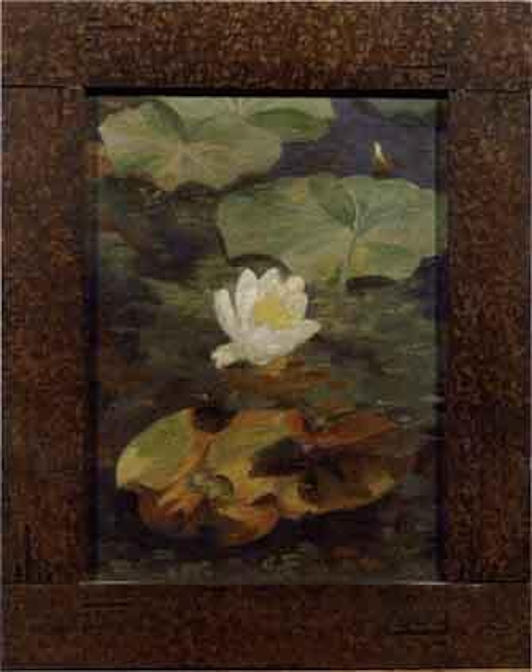 Waterlily by Dirk Smoorenberg