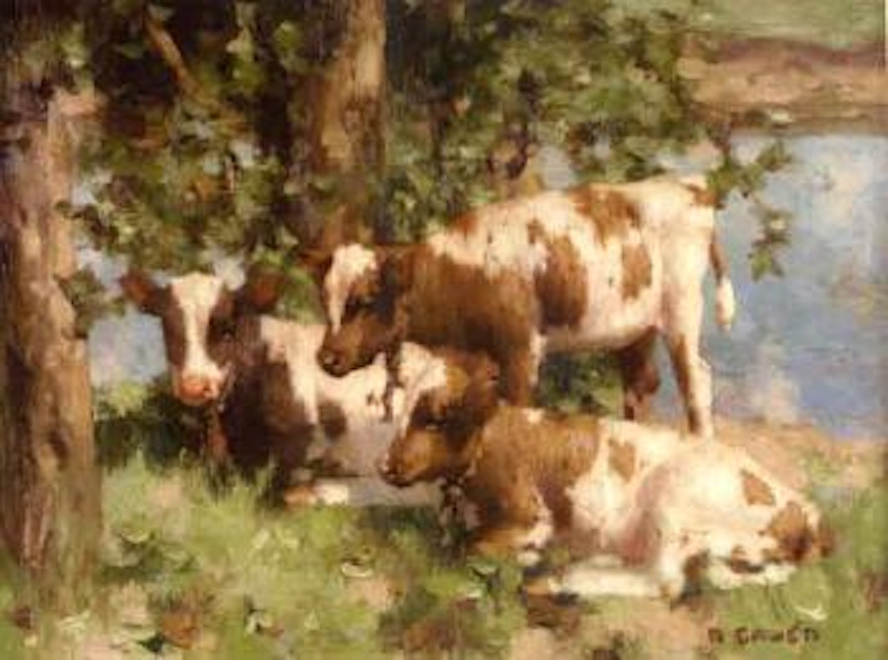 Three calves by a river by David Gauld