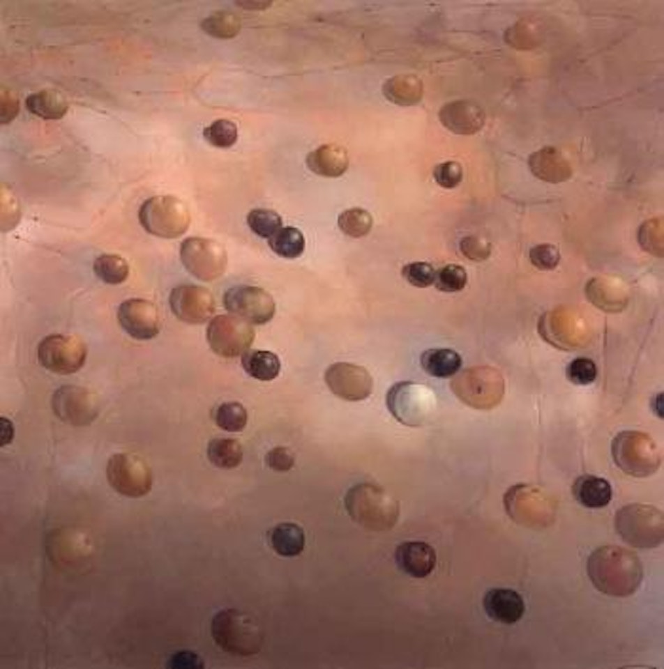 Landscape still life by Tim Storrier