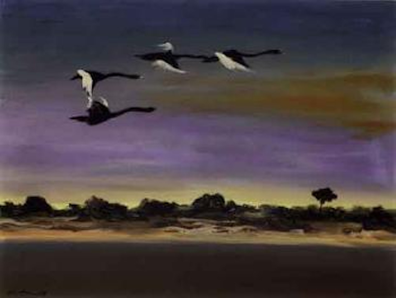 Black swans in flight by Albert Tucker