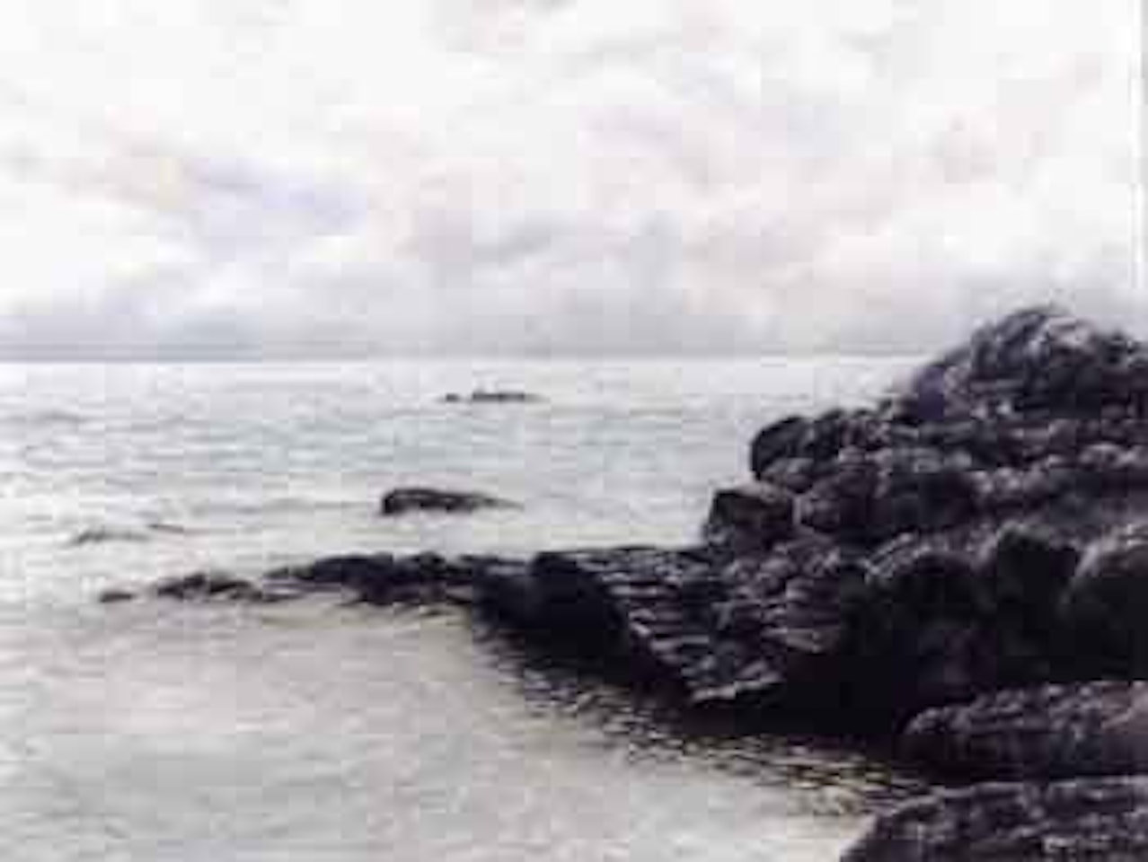 Silver seas by Lin Onus