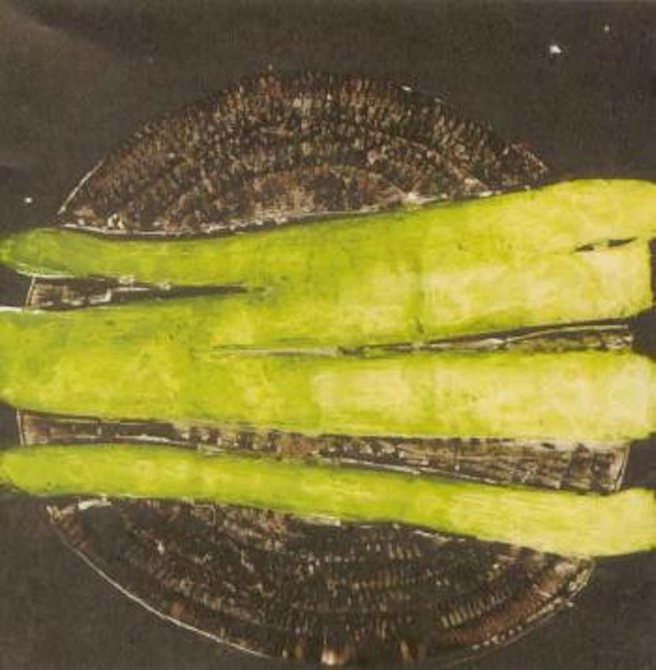 Asparagus by Donald Sultan
