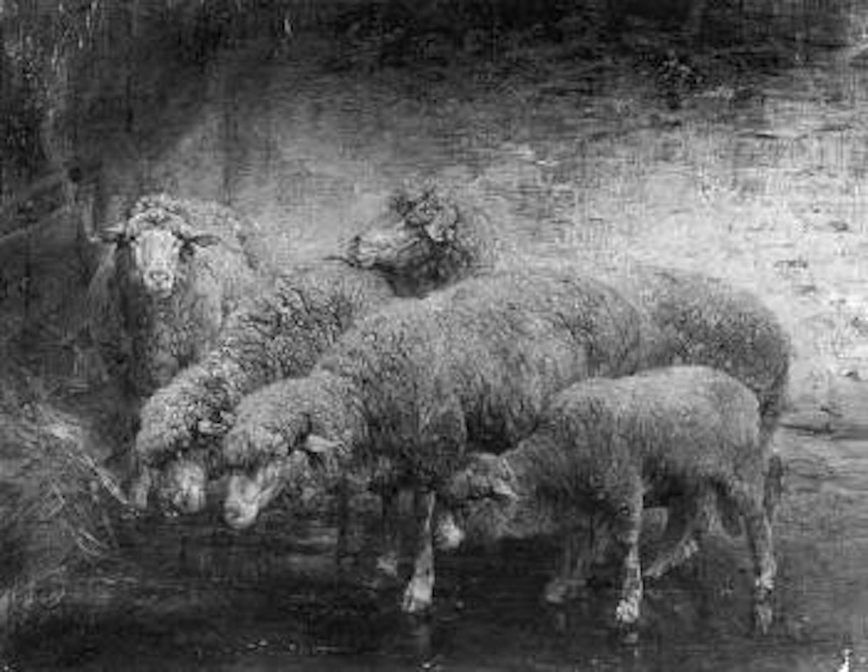 Sheep on the ford by Heinrich von Zugel