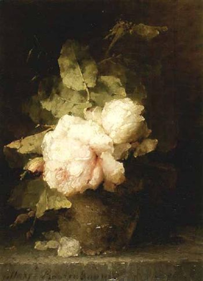 Pink roses by Margaretha Roosenboom