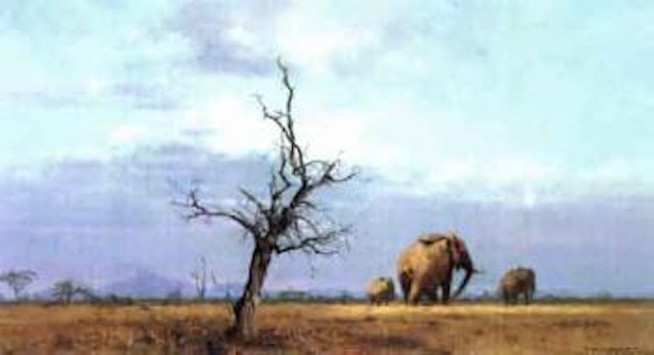 Stormy evening, Tsavo, Kenya by David Shepherd