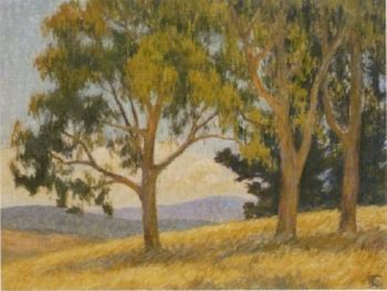 Paddock, Tintaldra by Rupert Charles Wulsten Bunny