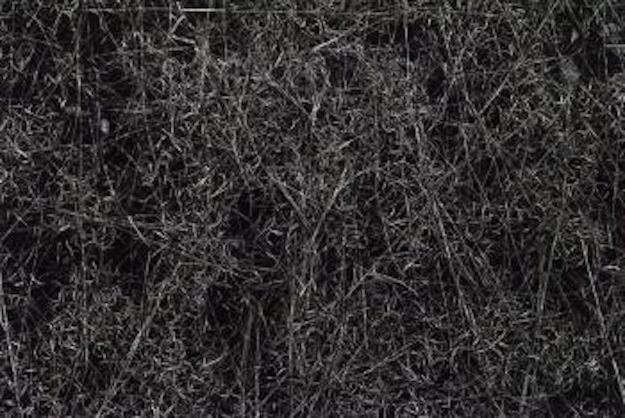 Rhode Island by Harry Callahan