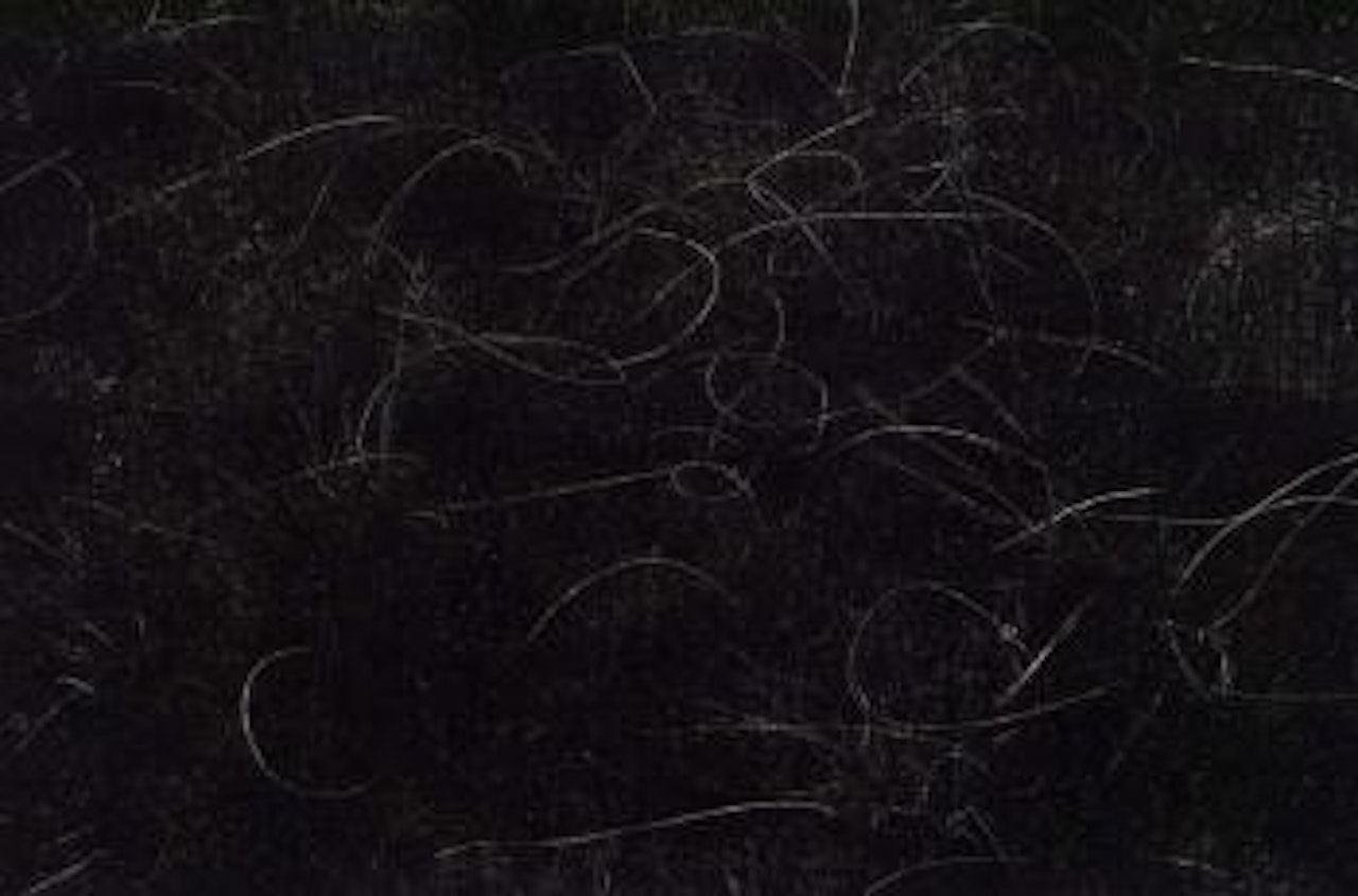 Grasses, Wisconsin by Harry Callahan