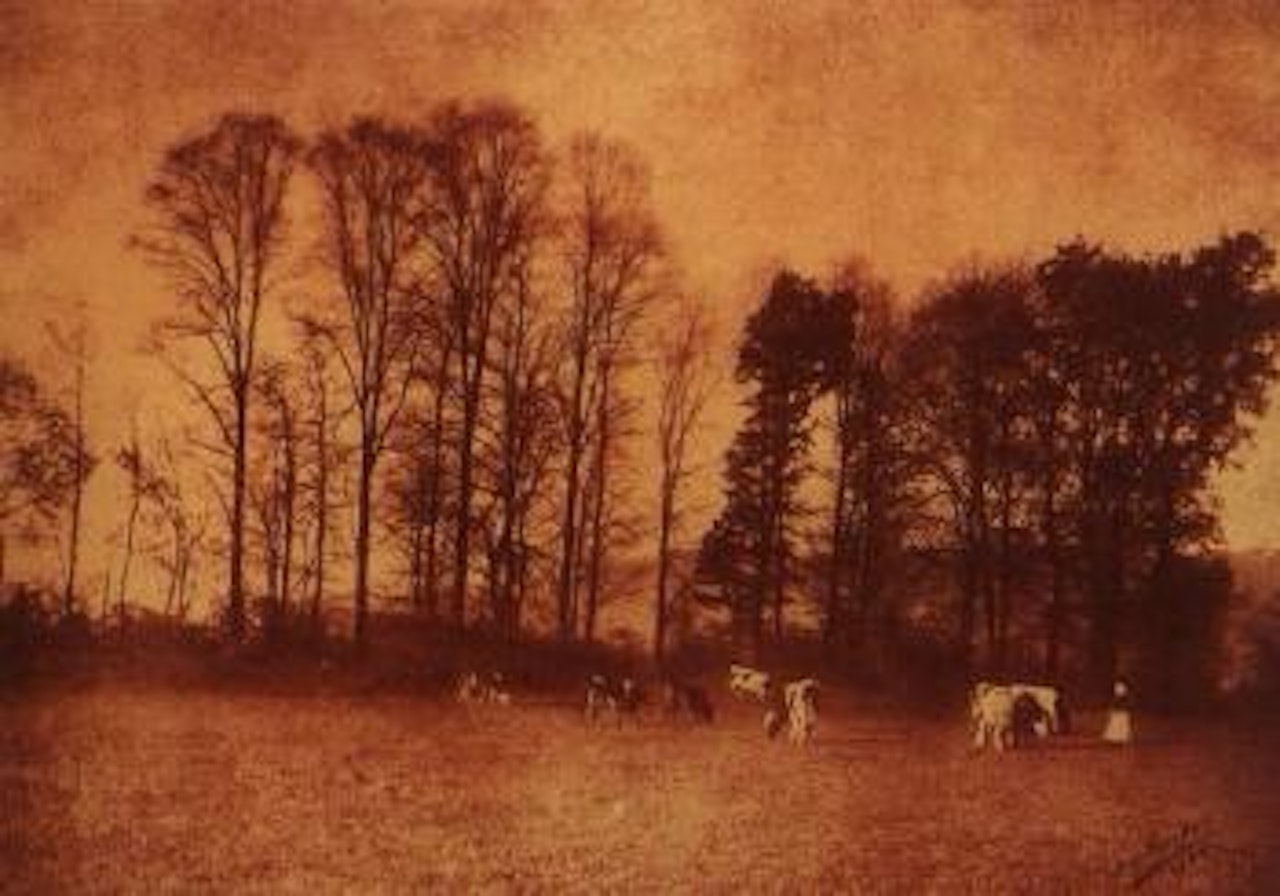 Pastoral landscape by August Sander
