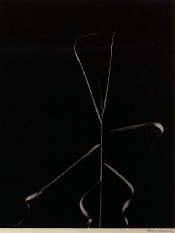Aix-en-provence by Harry Callahan
