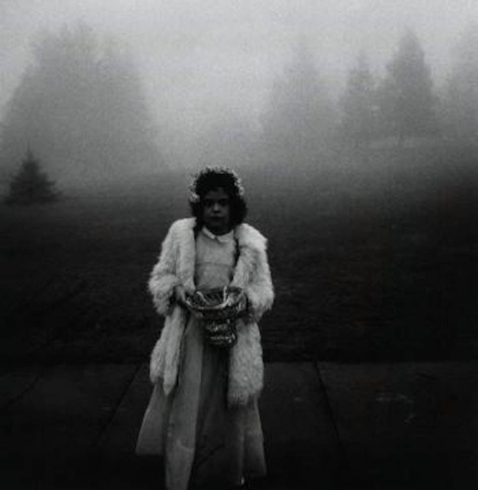 Flower girl at a wedding, Conn by Diane Arbus by Neil Selkirk