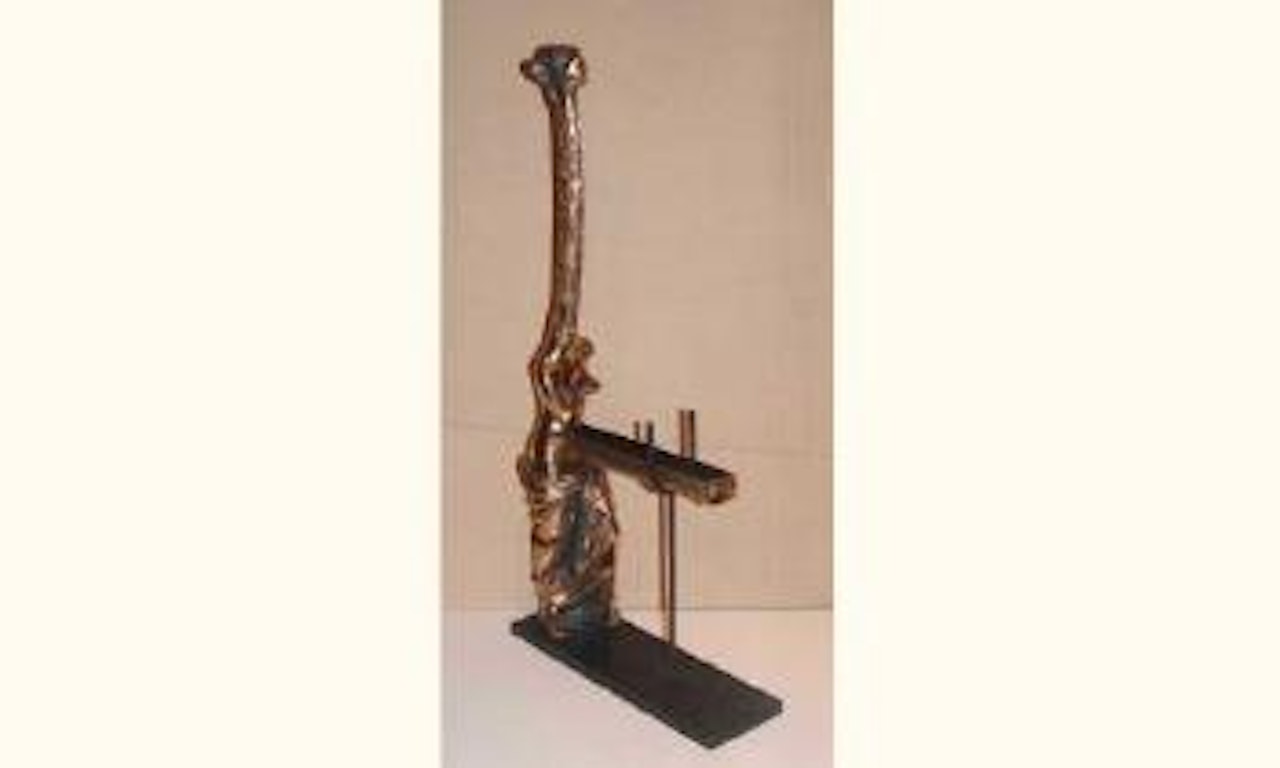 Venus a la girafe by Salvador Dali