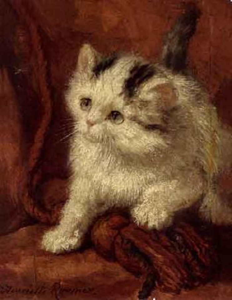 Fly by Henriette Ronner-Knip