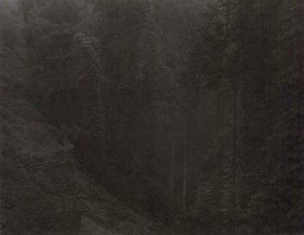 Untitled by Sally Mann