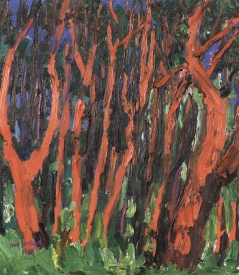 The forest by Inge Schiöler