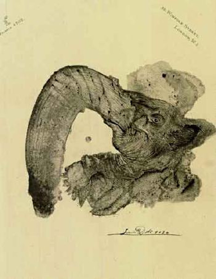 Tete fantastique d'elephant by Salvador Dali