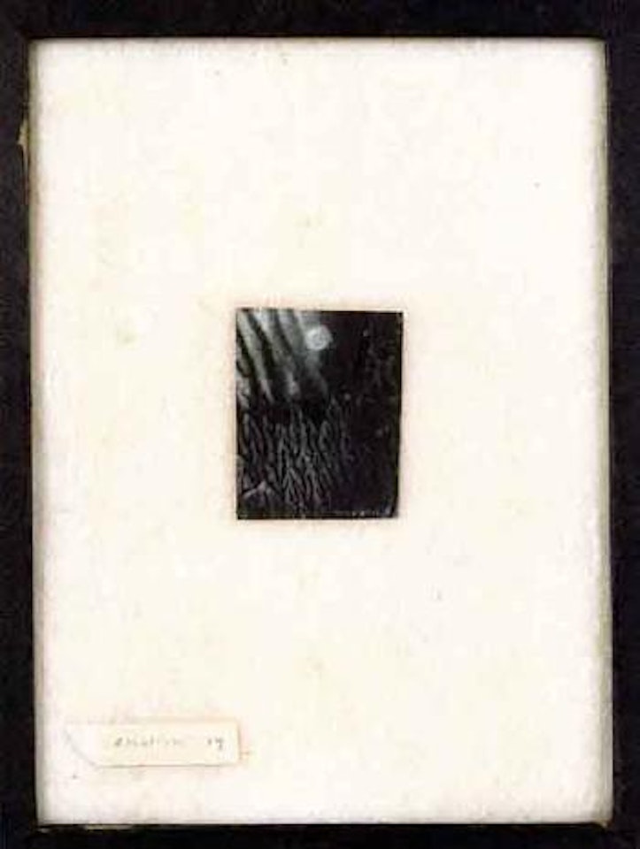 Emotion by Max Ernst