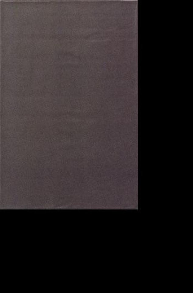 Untitled by Günther Förg