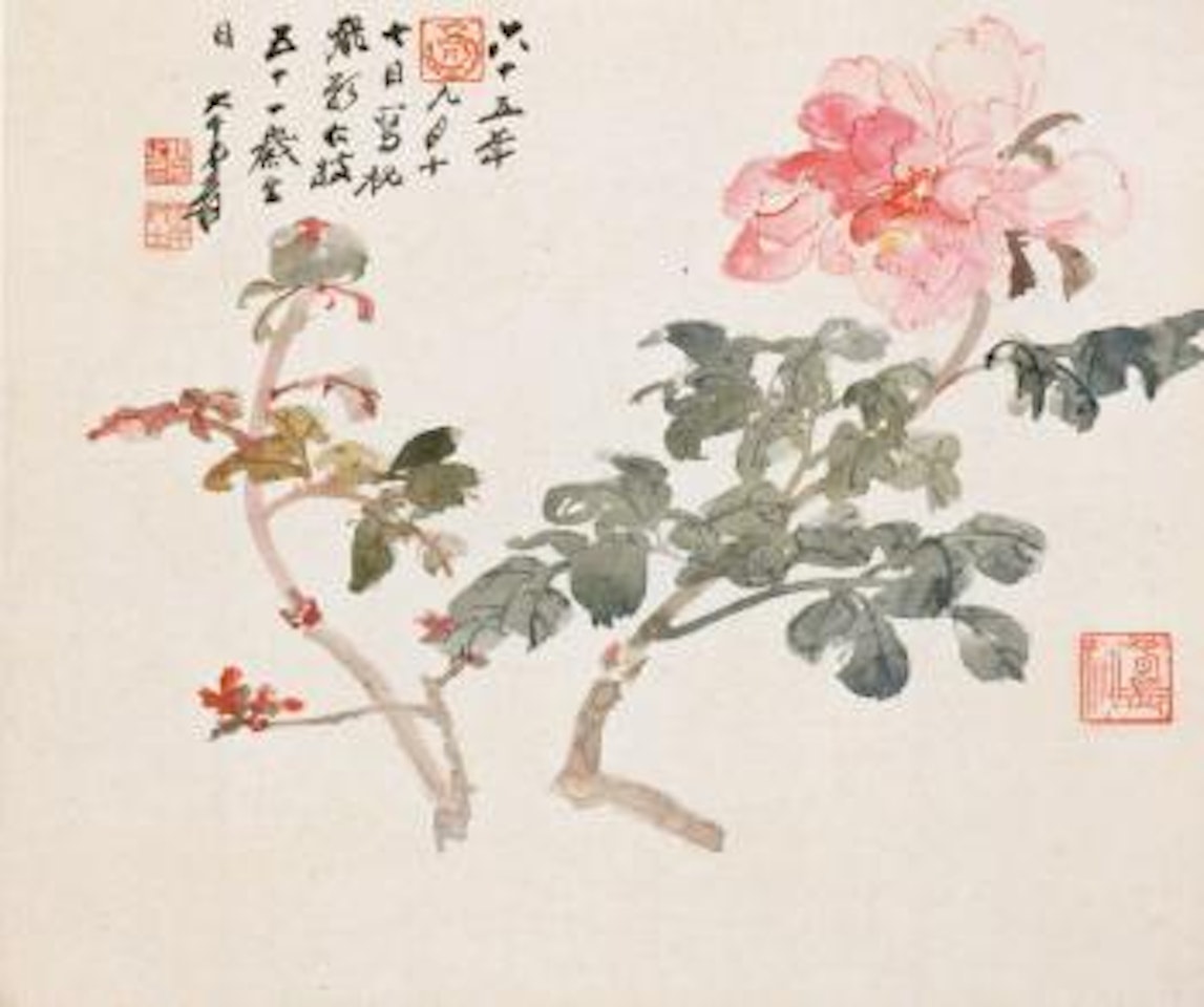 Peony by Zhang Daqian