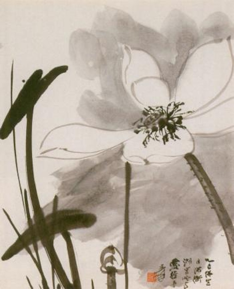 White lotus by Zhang Daqian