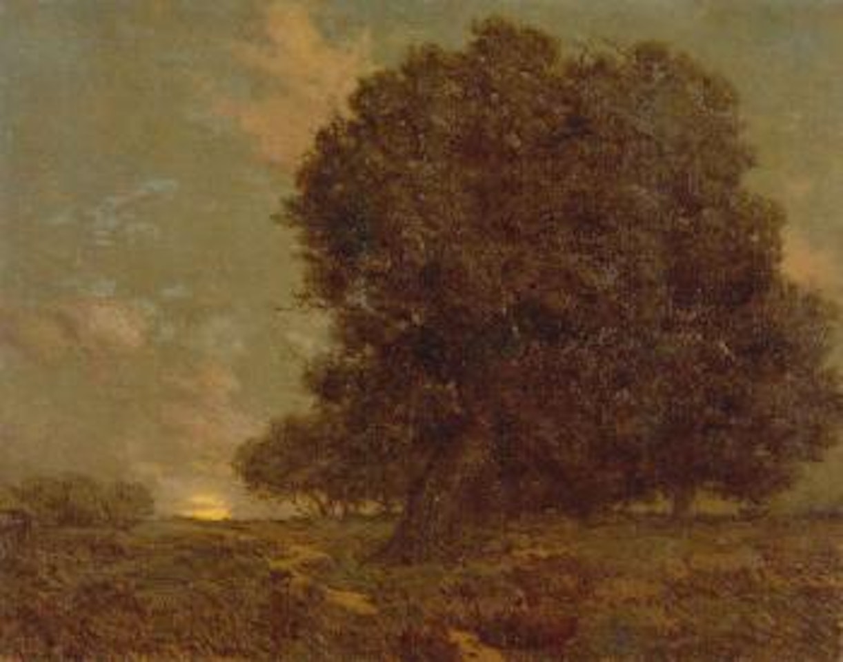 Canyon oak by Granville Redmond