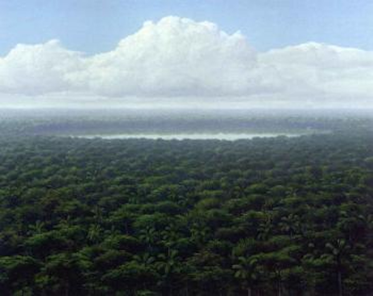 Lagoon under the clouds by Tomas Sanchez