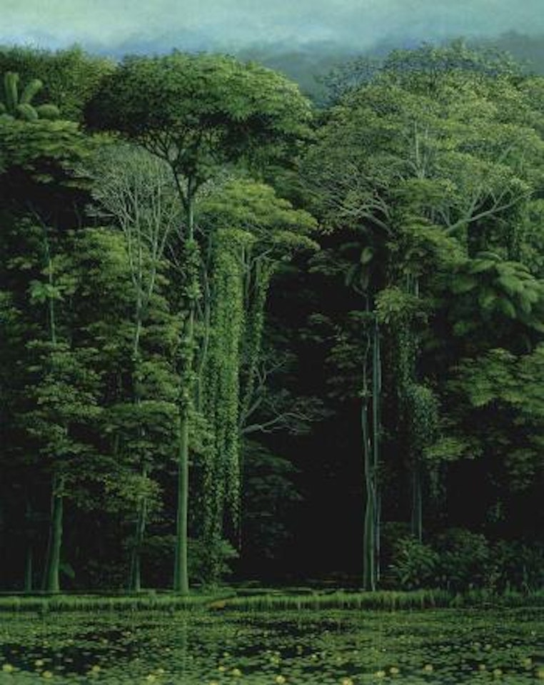 Forest by Tomas Sanchez