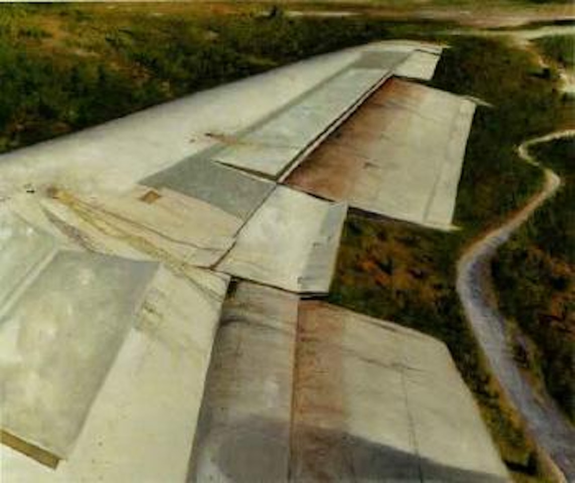 Right wing by Julio Larraz