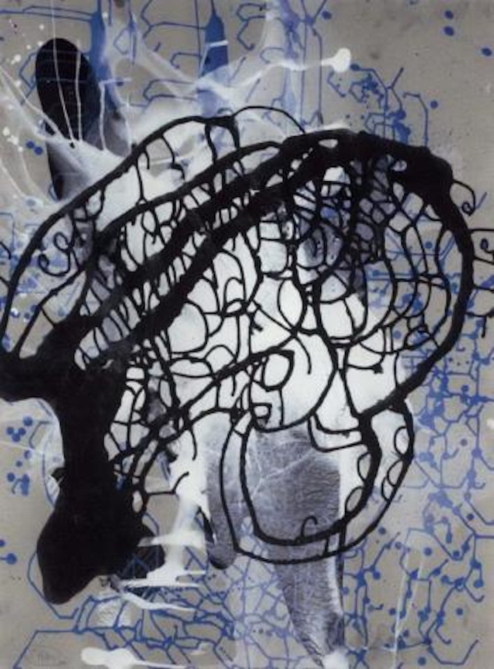 Untitled by Sigmar Polke