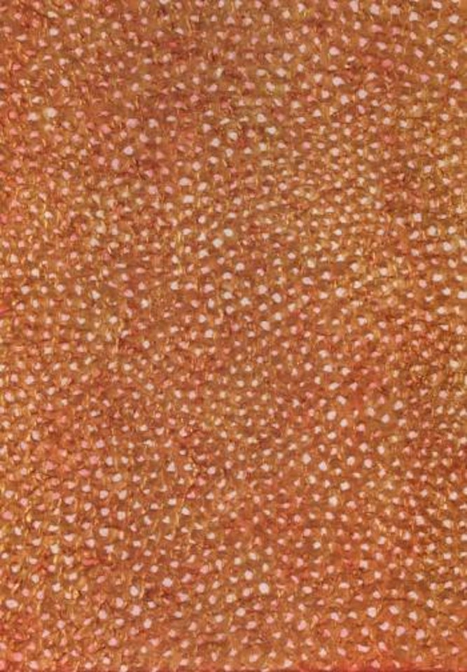 Infanity nets by Yayoi Kusama