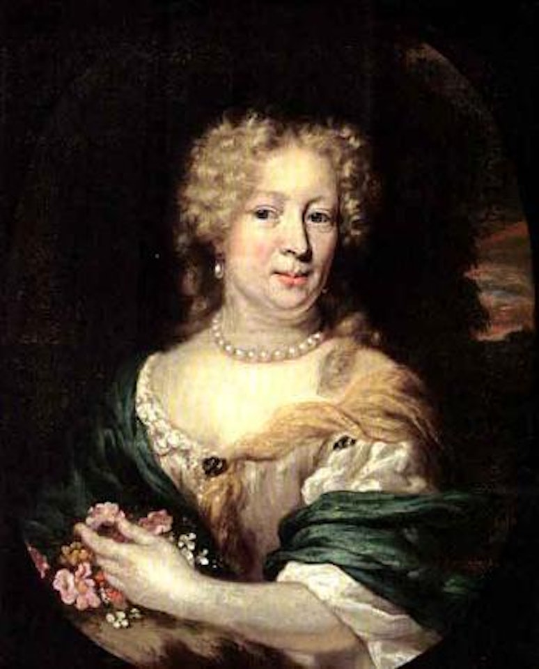 Portrait of a lady wearing a satin dress by Nicolaes Maes