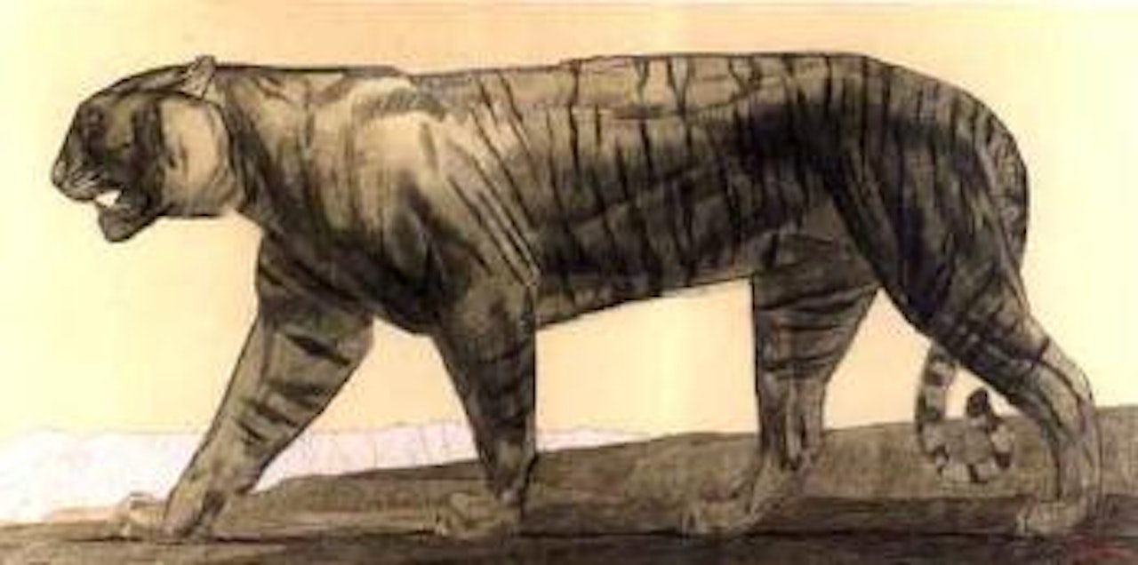 Tigre marchant by Paul Jouve