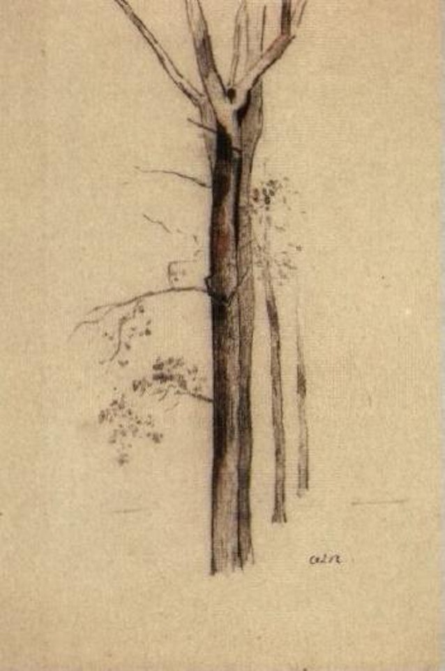 Arbre by Odilon Redon