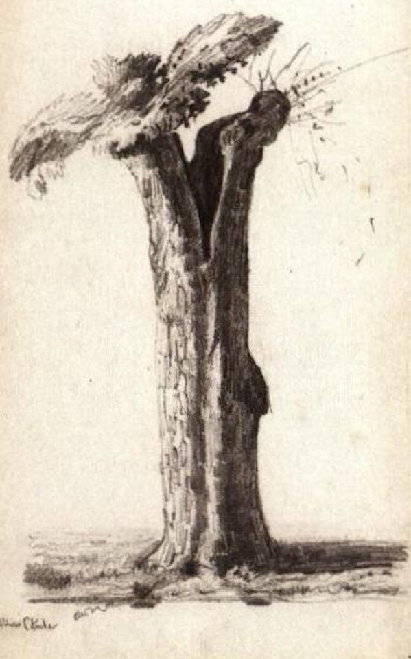 L'arbre eclate by Odilon Redon