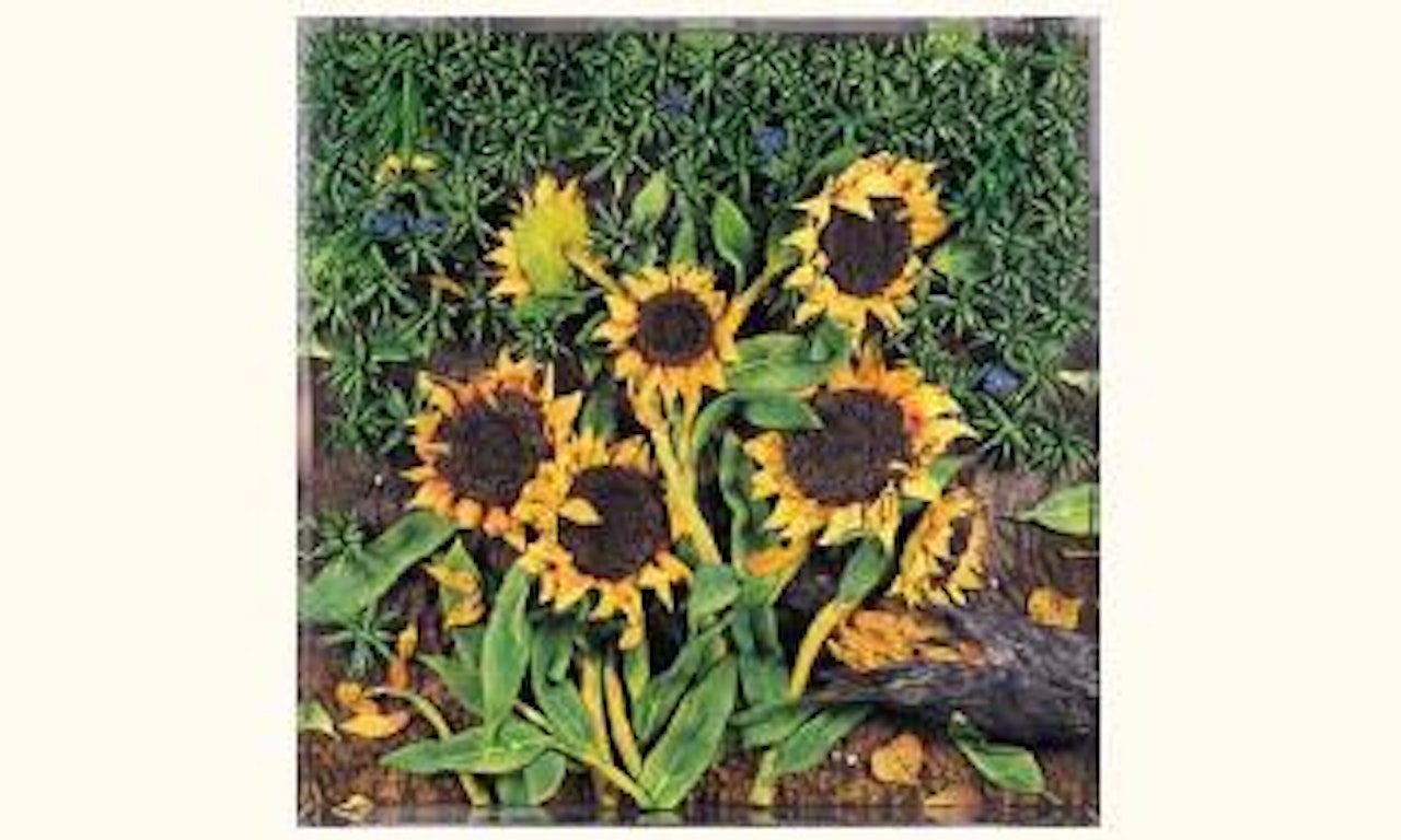 Sunflowers by Piero Gilardi