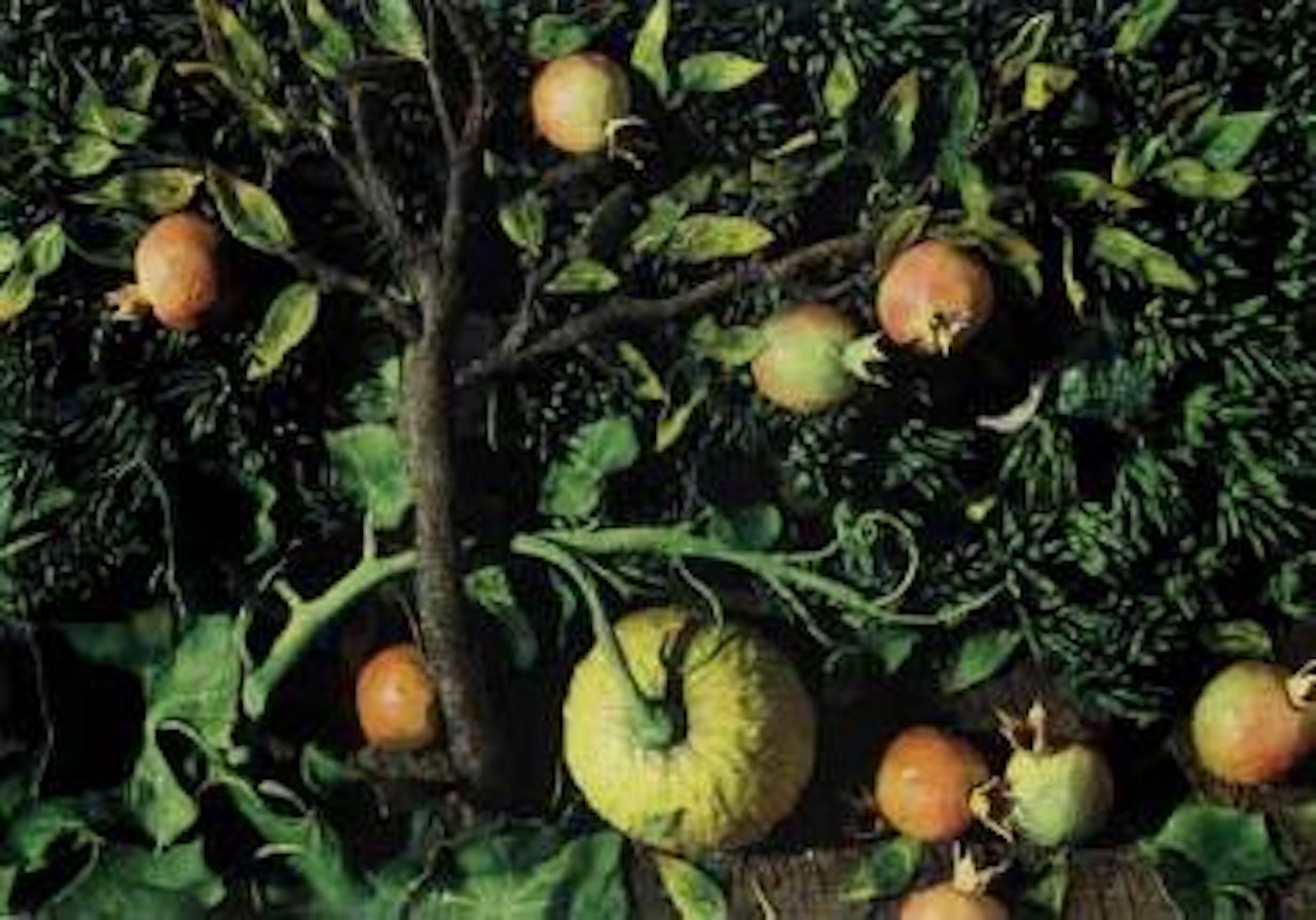 Pomegranates by Piero Gilardi