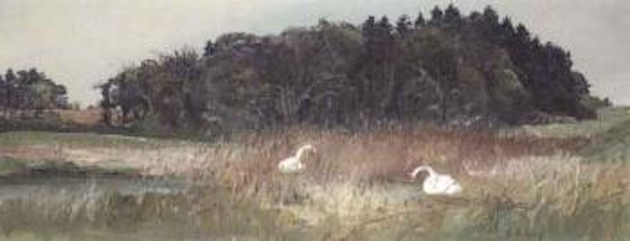 Two swans by a pool, Suffolk by Arthur Merric Bloomfield Boyd