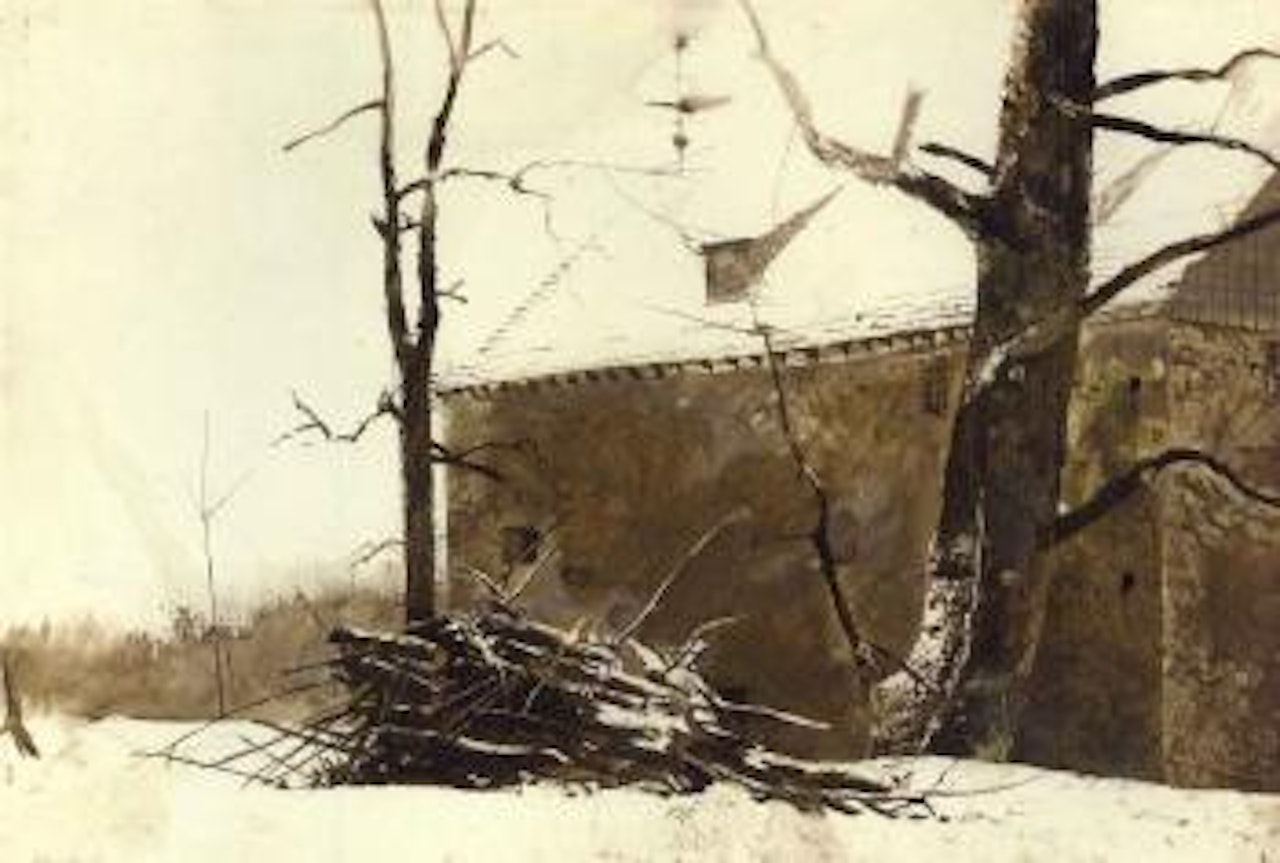 Brush pile by Andrew Wyeth