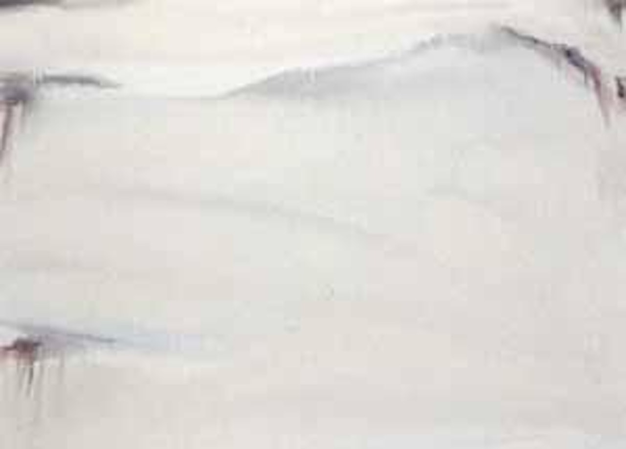 Blanc gris d'hiver by Olivier Debre