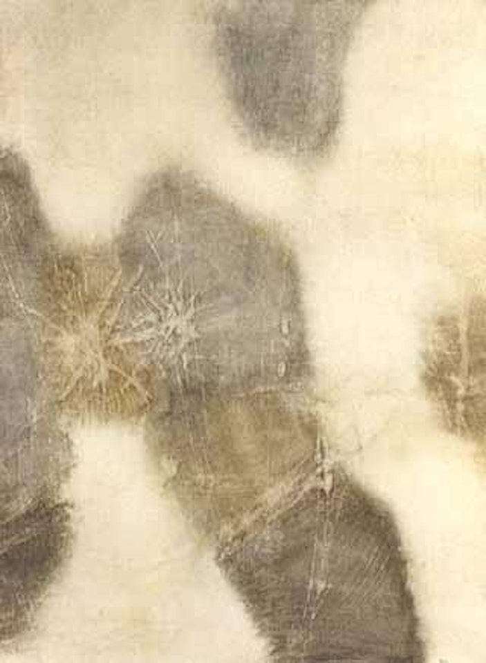 Untitled by Léon Zack