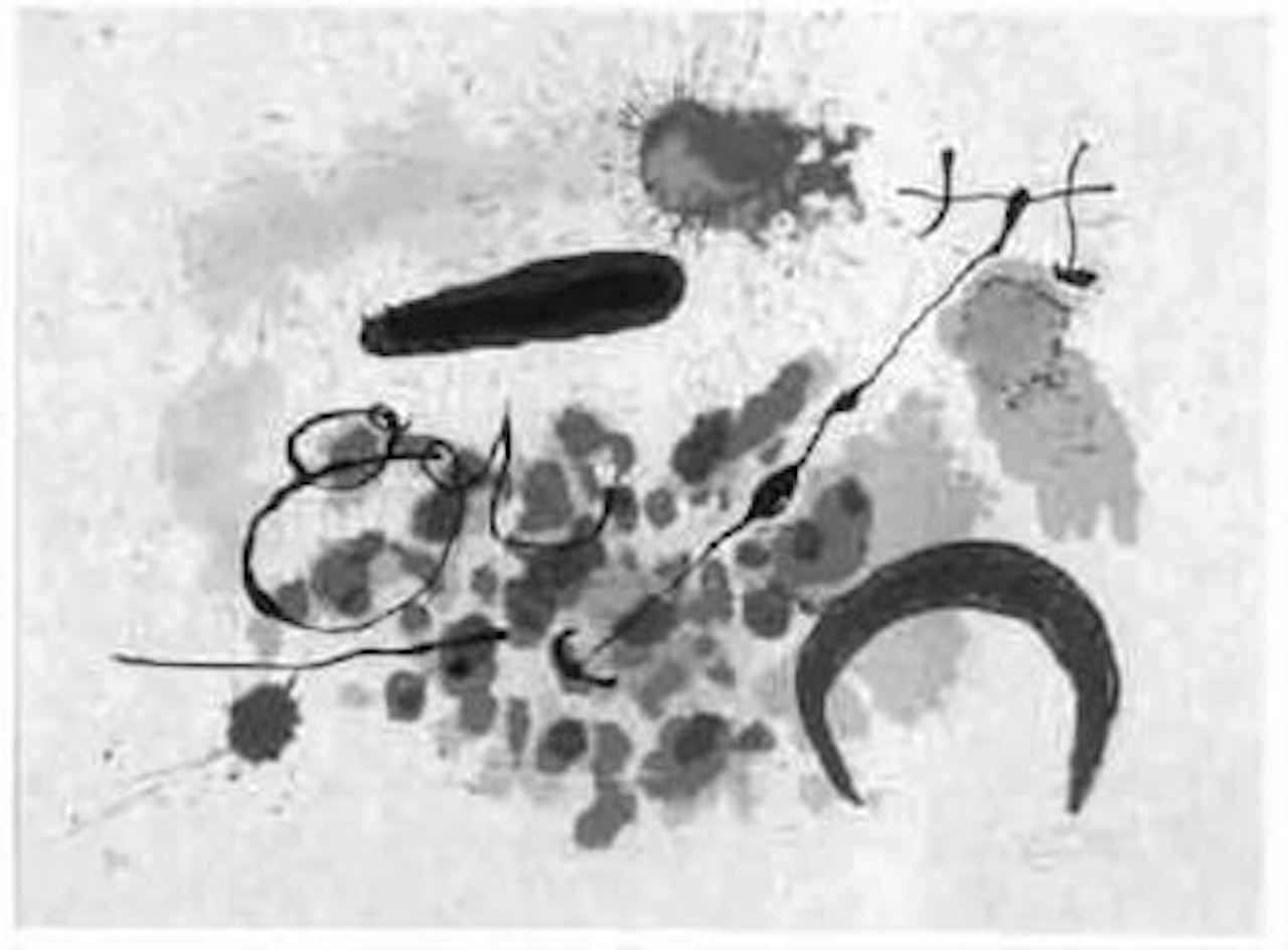 Le lezard aux plumes d'or by Joan Miró