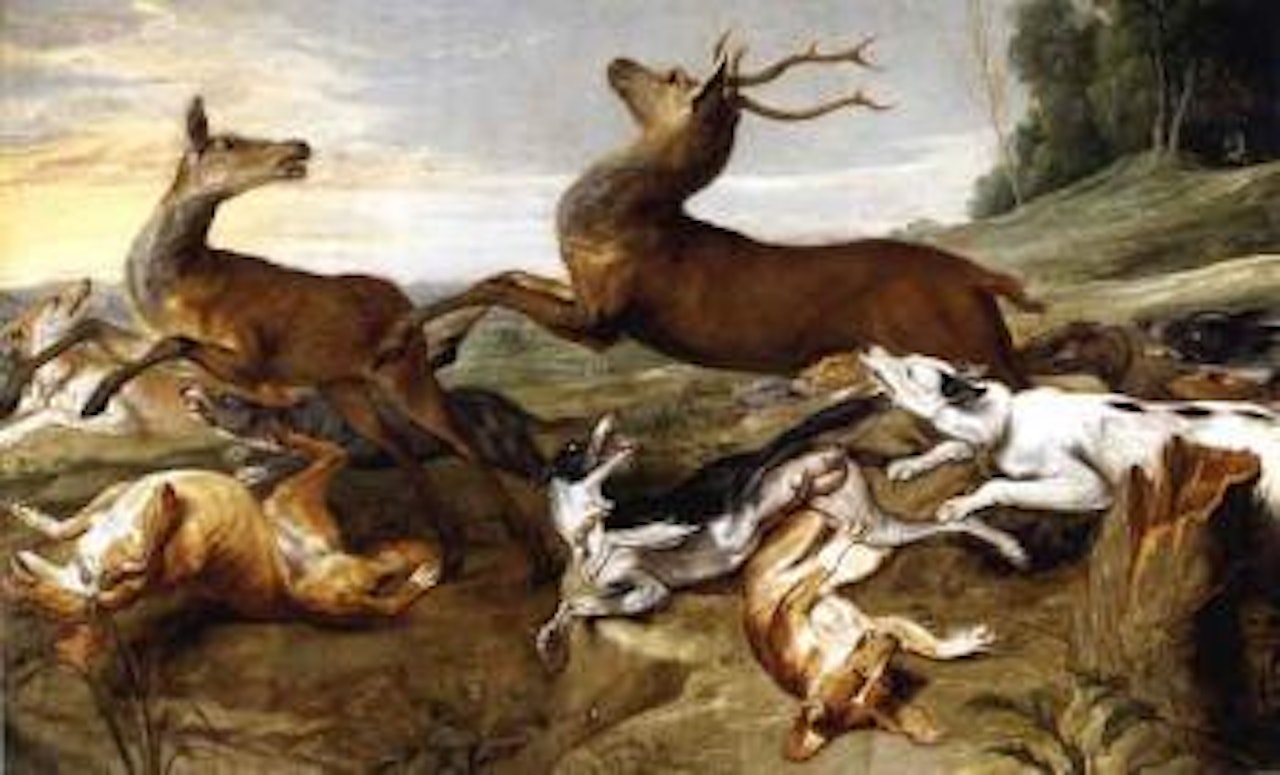 Deer being chased by hounds by Frans Snyders