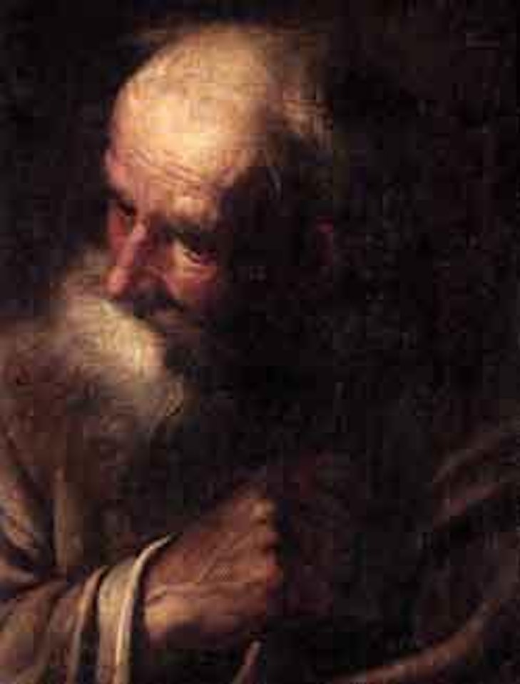 Study of head of old bearded man by Venetian School