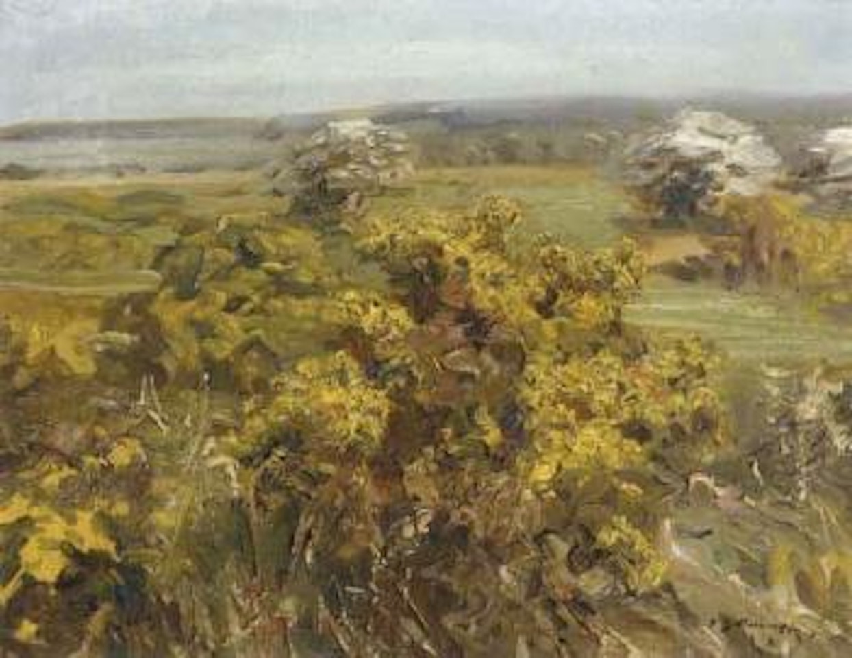 Spring landscape by Alfred James Munnings